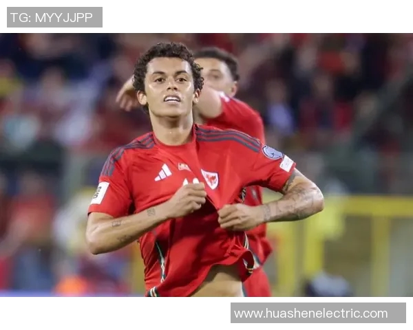 威尔士足球传奇人物离世 引发全球球迷悼念与回忆 威尔士足球传奇人物离世 引发全球球迷悼念与回忆