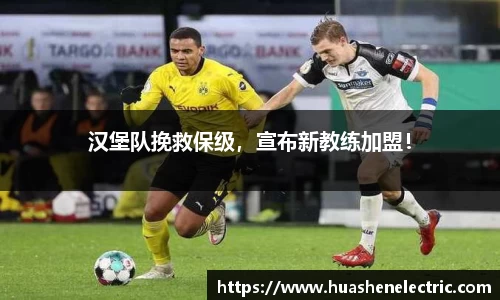 雷竞技官方网站