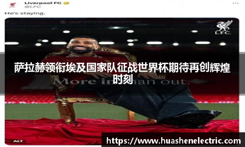 雷竞技raybet官网